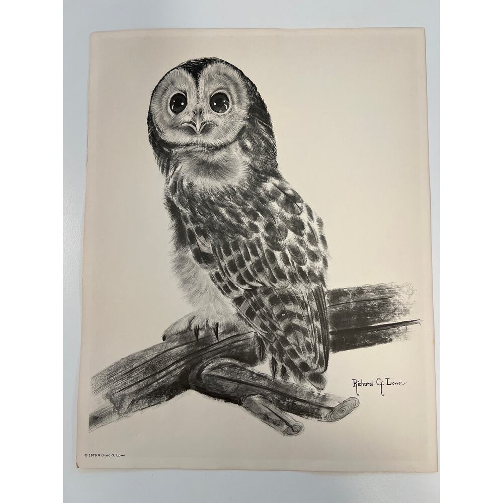 Black & White Owl Poster 1976